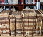 Beca de la Cátedra Simón Ruiz 2024