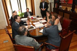 Constitución Cátedra